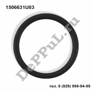 Кольцо уплотнительное Nissan Infiniti M35/45 (06-10) | 1506631U03 | DEBZ0383