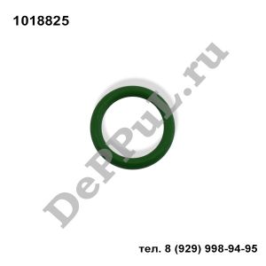 Кольцо уплотнительное трубки кондиционера Ford | 1018825 | DEBZ0488