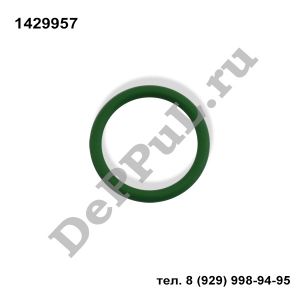Кольцо уплотнительное Ford | 1429957 | DEBZ0493